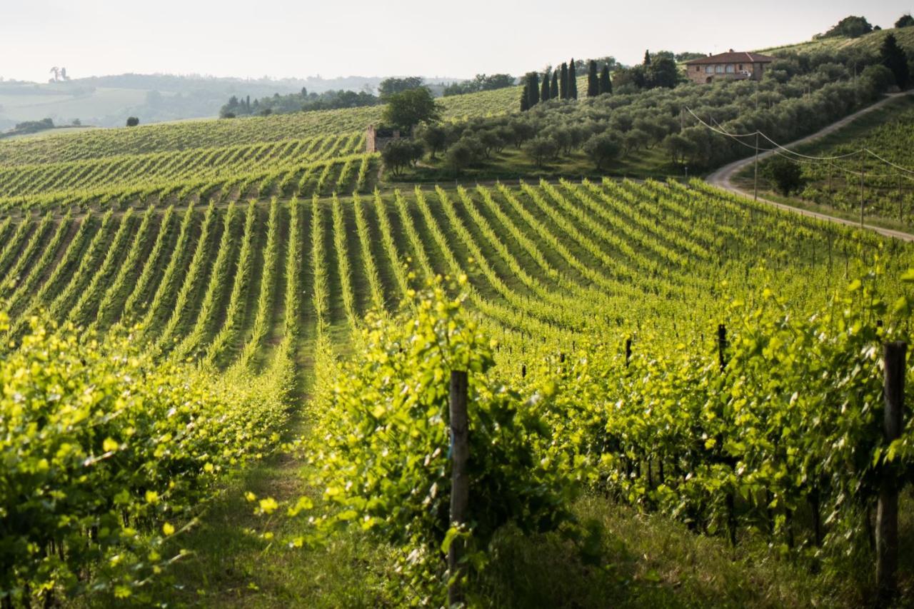Tenuta Di Monaciano Ponte A Bozzone Экстерьер фото